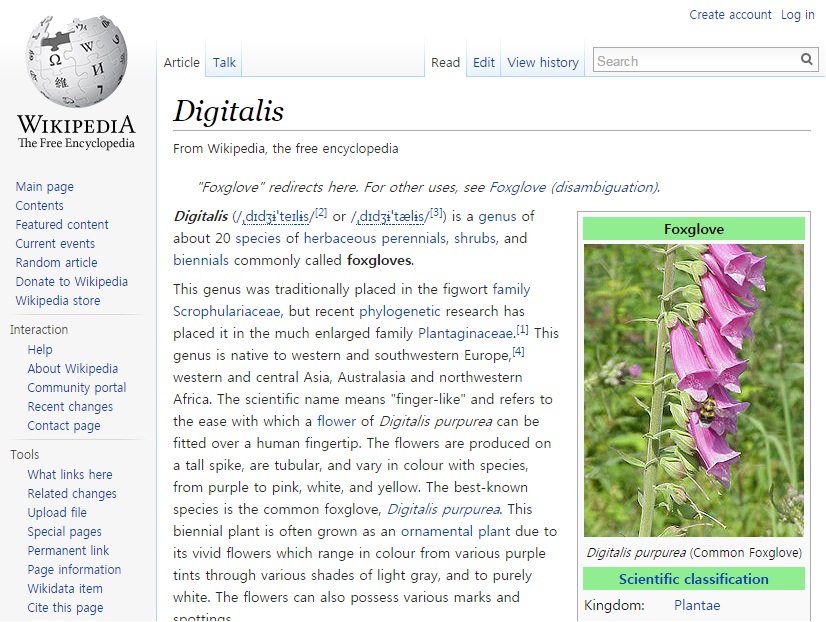 ‘디기탈리스(Digitalis)’에 대한 위키 항목