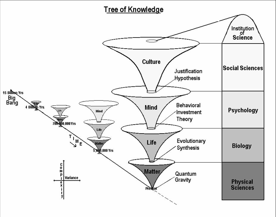 그레그 헨릭(Gregg Henriques)의 지식의 나무체계(Tree of Knowledge System)