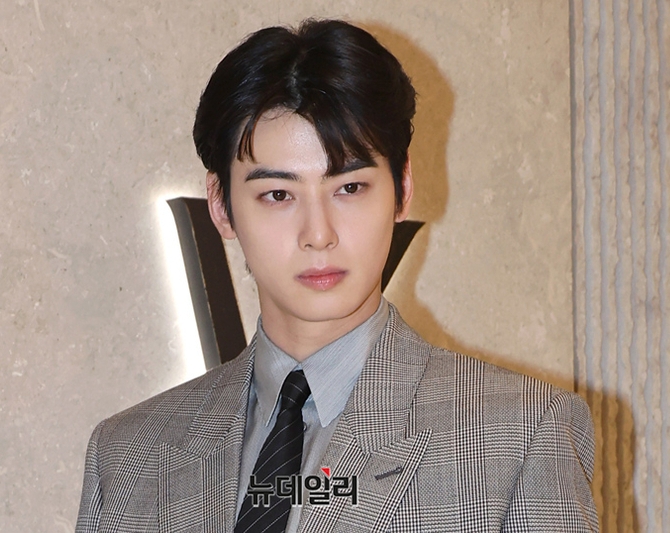 연예인 차은우의 탈세 의혹에 대한 언론 미디어의 보도가 지나치게 단정적이고 균형을 잃었다는 지적이 나온다. 사진=뉴데일리