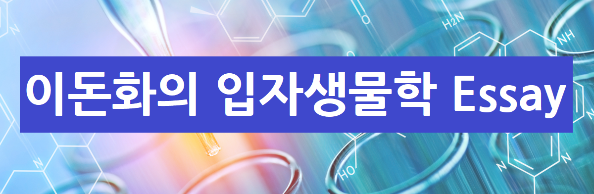 배너