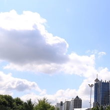 [심층분석] 한미약품, ‘비만약 호재’에 5거래일 주가 23 이상 껑충