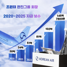 조원태, 작년 145억 이상 수령... “대한항공 실적 하락·최악 업황과 엇박자” 지적도
