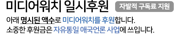 미디어워치 일시후원